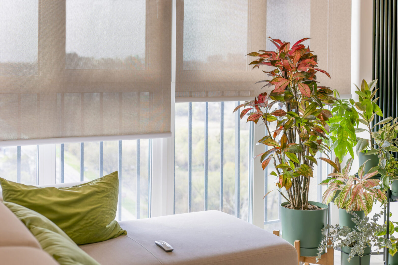 A living room with a beige sofa, green pillows, potted plants, and a remote control, next to large windows with beige roller blinds partially lowered.