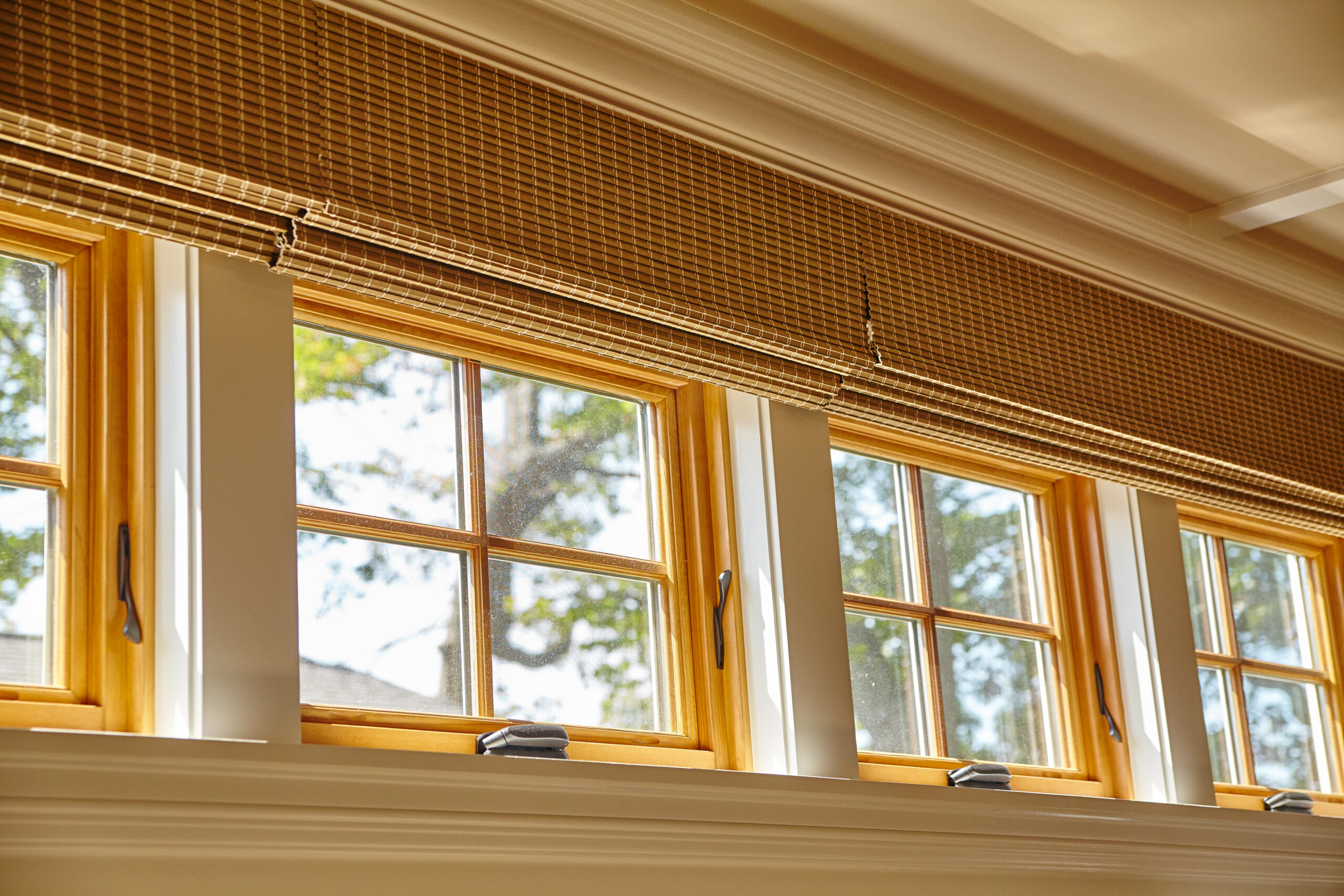 Sustainable Home Interior with Bamboo Blinds Filtering Midday Sunlight in Syracuse, Indiana s, 2015