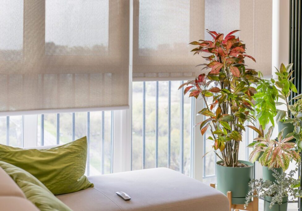 A living room with a beige sofa, green pillows, potted plants, and a remote control, next to large windows with beige roller blinds partially lowered.